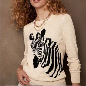Banana Republic Zebra Print Sweater